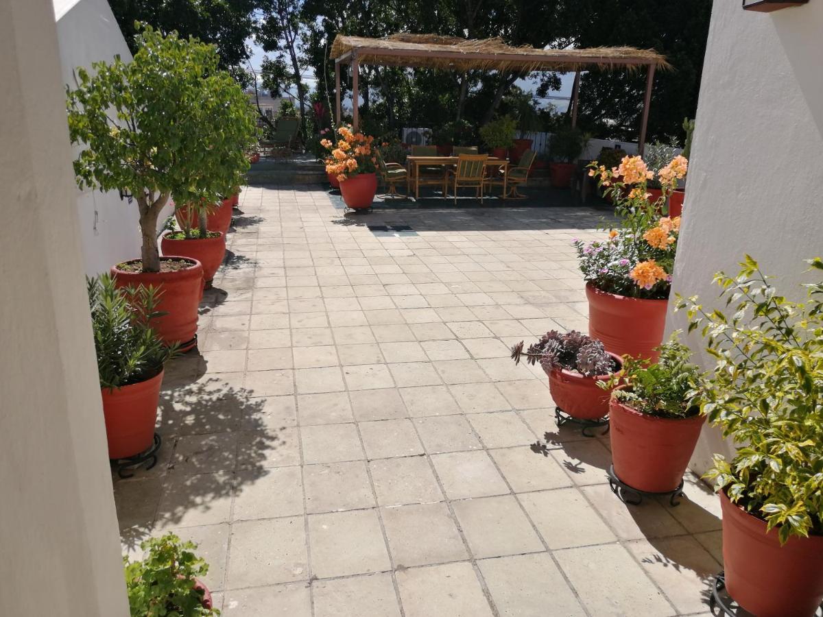Hotel Aitana Oaxaca Eksteriør billede