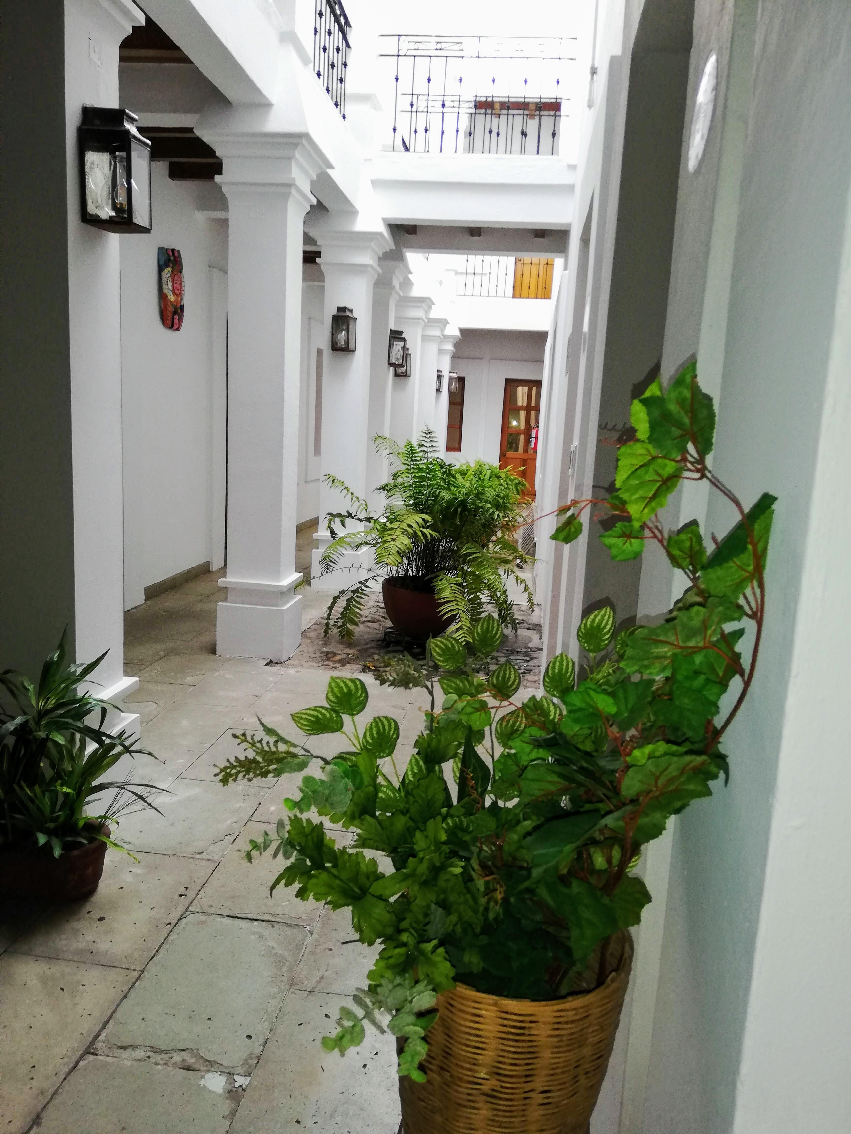 Hotel Aitana Oaxaca Eksteriør billede